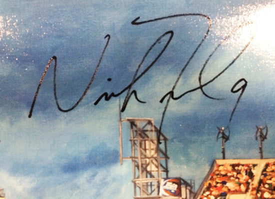 eagles team pride 2014, "together we soar" 30x45 mulit-auto foles, mccoy, artist proof, l.e. 6
