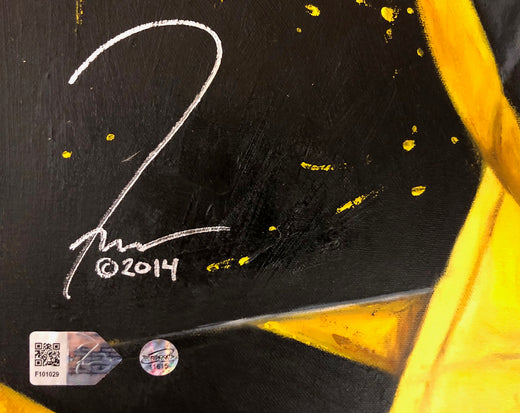 troy polamalu, "troy soldier" 30x45 orig, auto polamalu